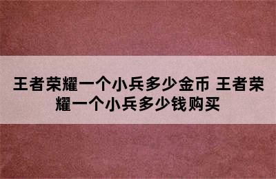 王者荣耀一个小兵多少金币 王者荣耀一个小兵多少钱购买